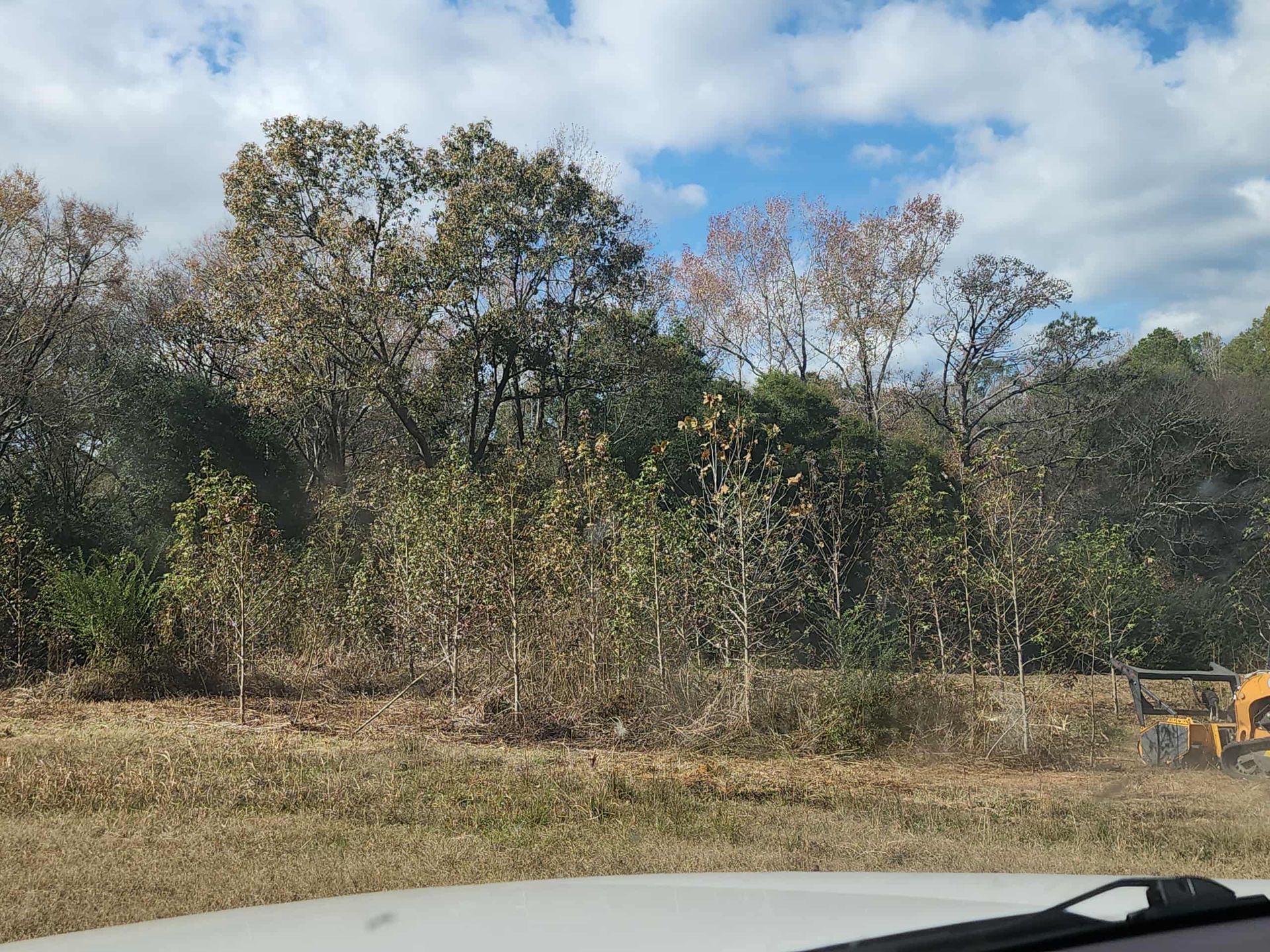 Trees and dry grass against a partly cloudy sky.