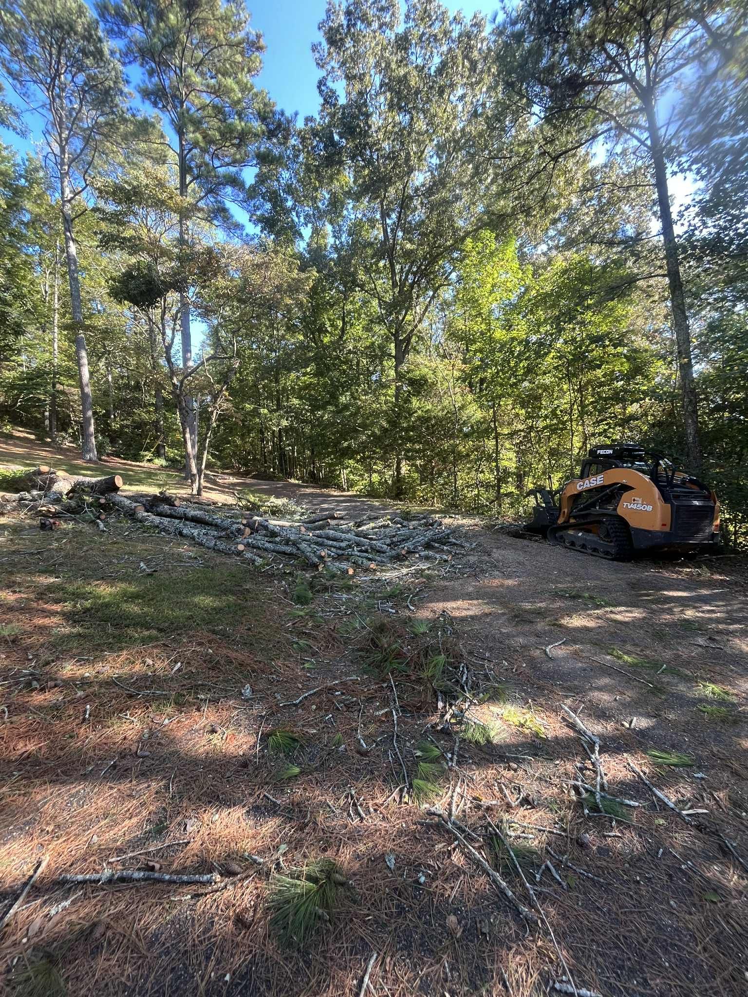 A clearing in a wooded area with rocks, dead leaves, and a small excavator. Bright blue sky.