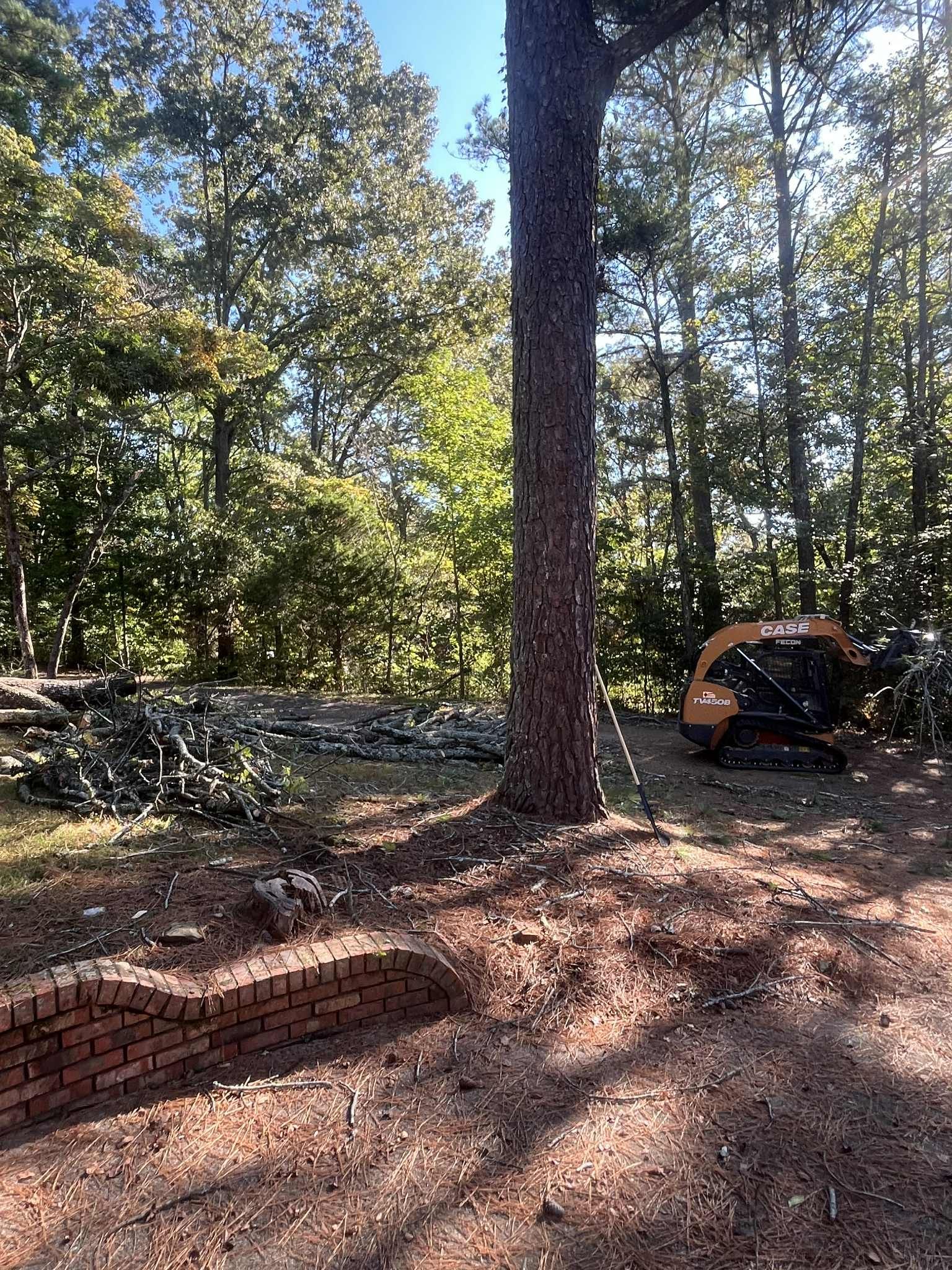 A tall tree trunk next to a brick wall. A small excavator and felled branches are visible in the background.