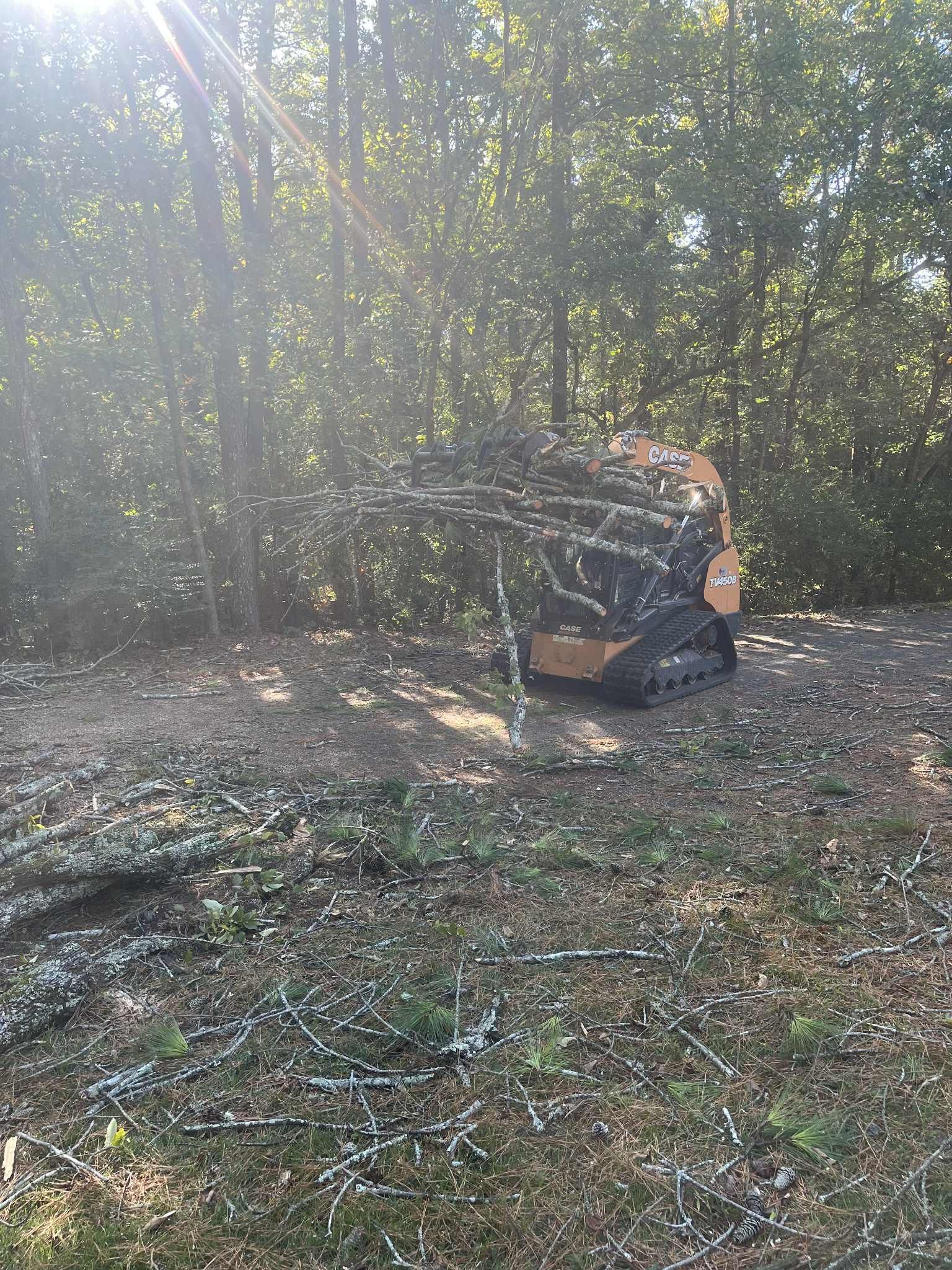 Skid steer with a pile of branches in a wooded area. Sunlight shines through the trees.