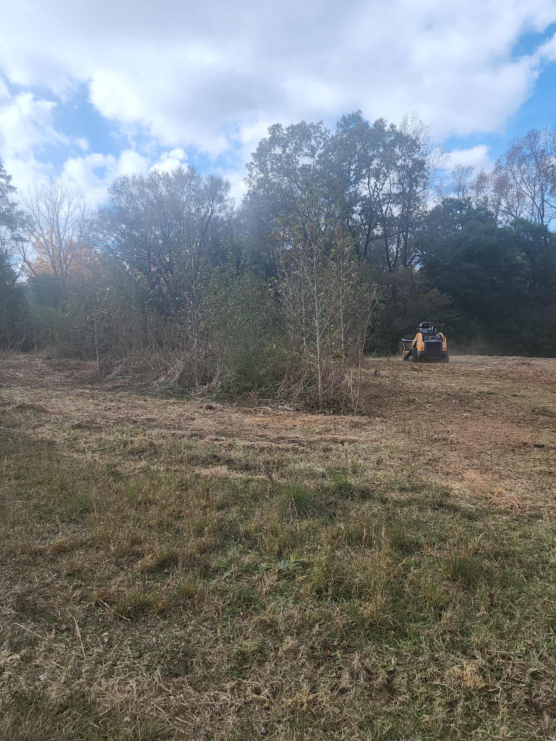 Land clearing with a machine near trees under a cloudy sky.