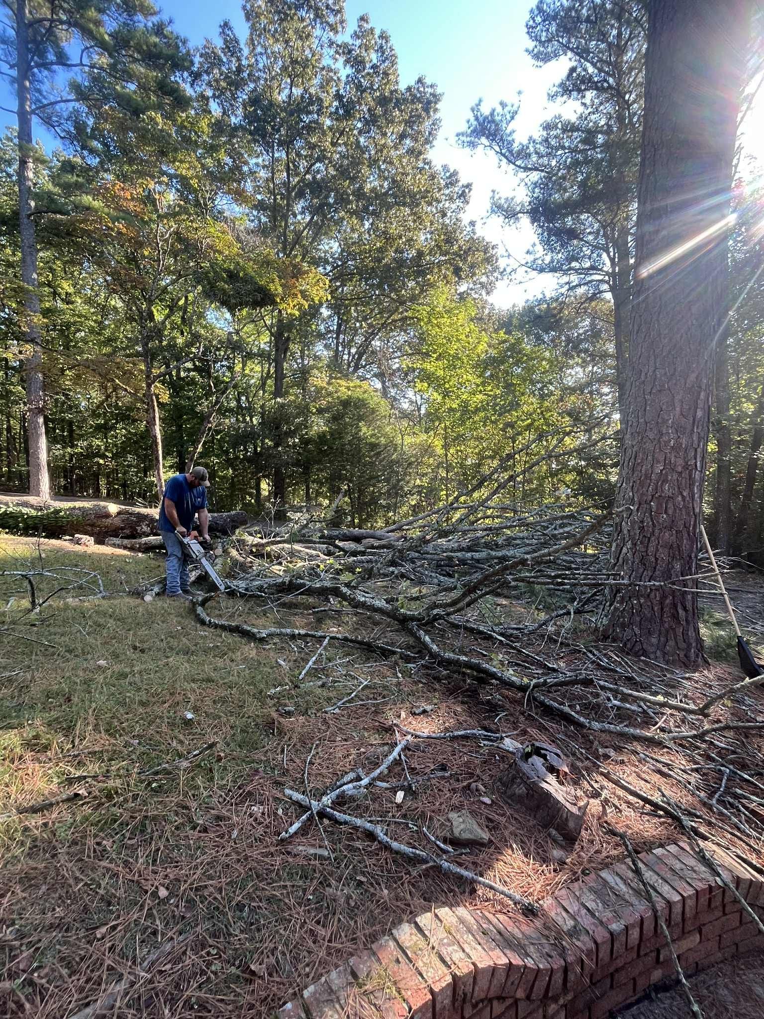 Person cutting fallen tree limbs near a brick edge. Sunlight filters through the trees.
