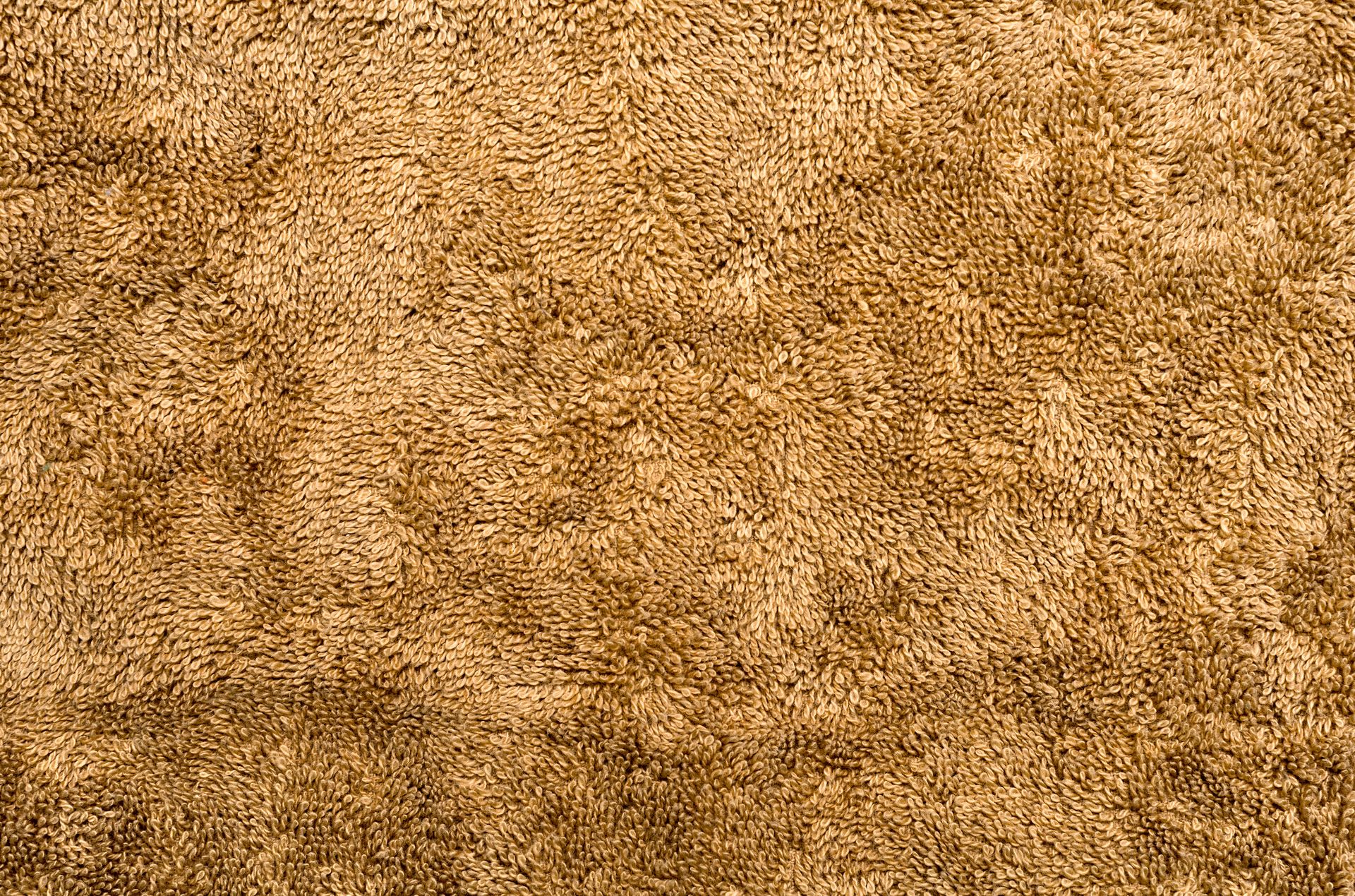 A close up of a brown carpet texture.