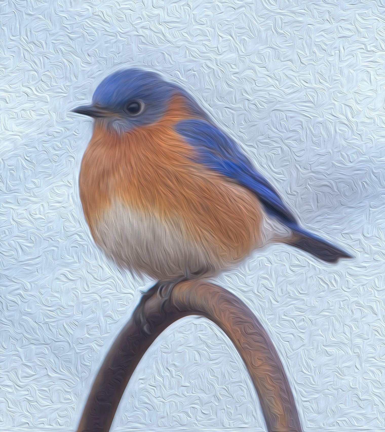 A small blue and orange bird perched on a branch