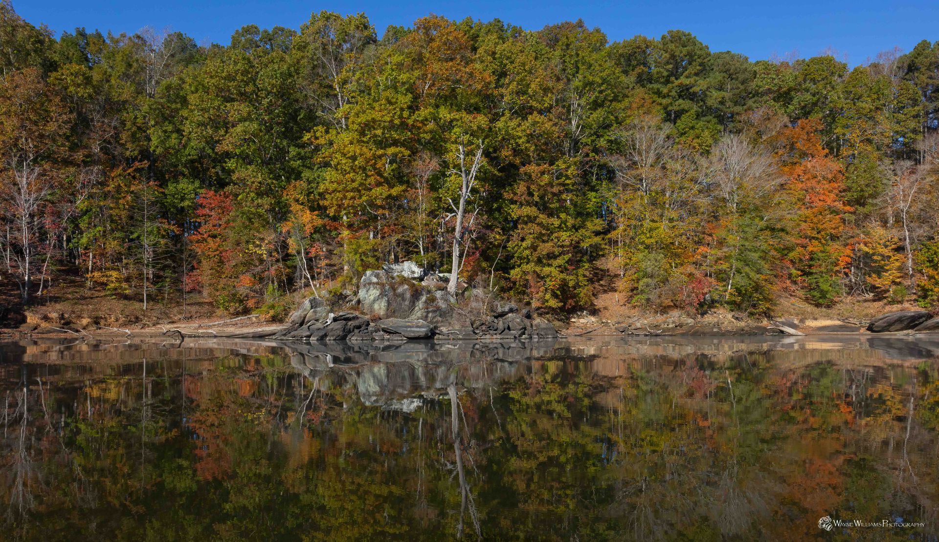 A lake surrounded by trees on a sunny day