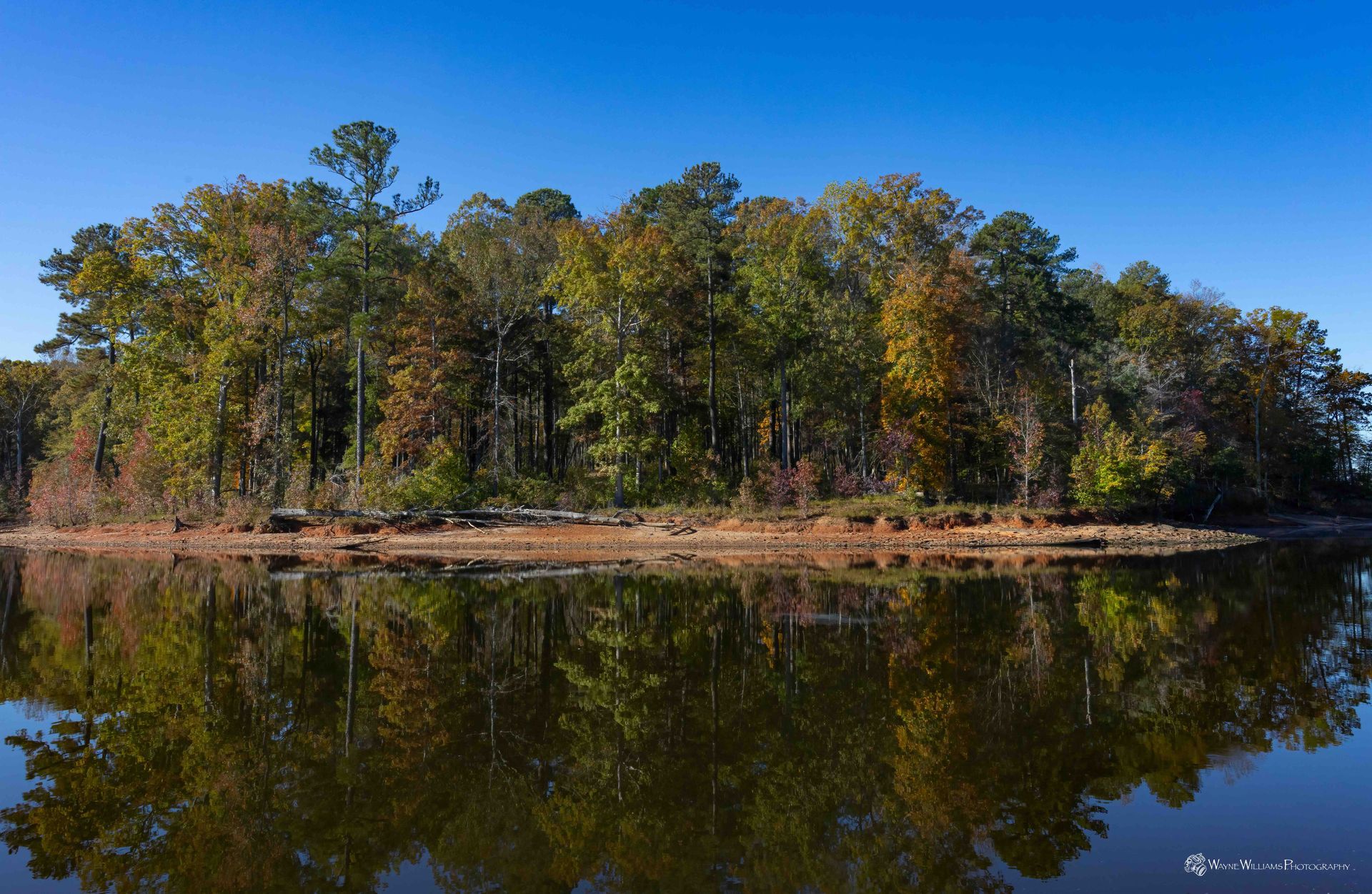 A lake surrounded by trees on a sunny day