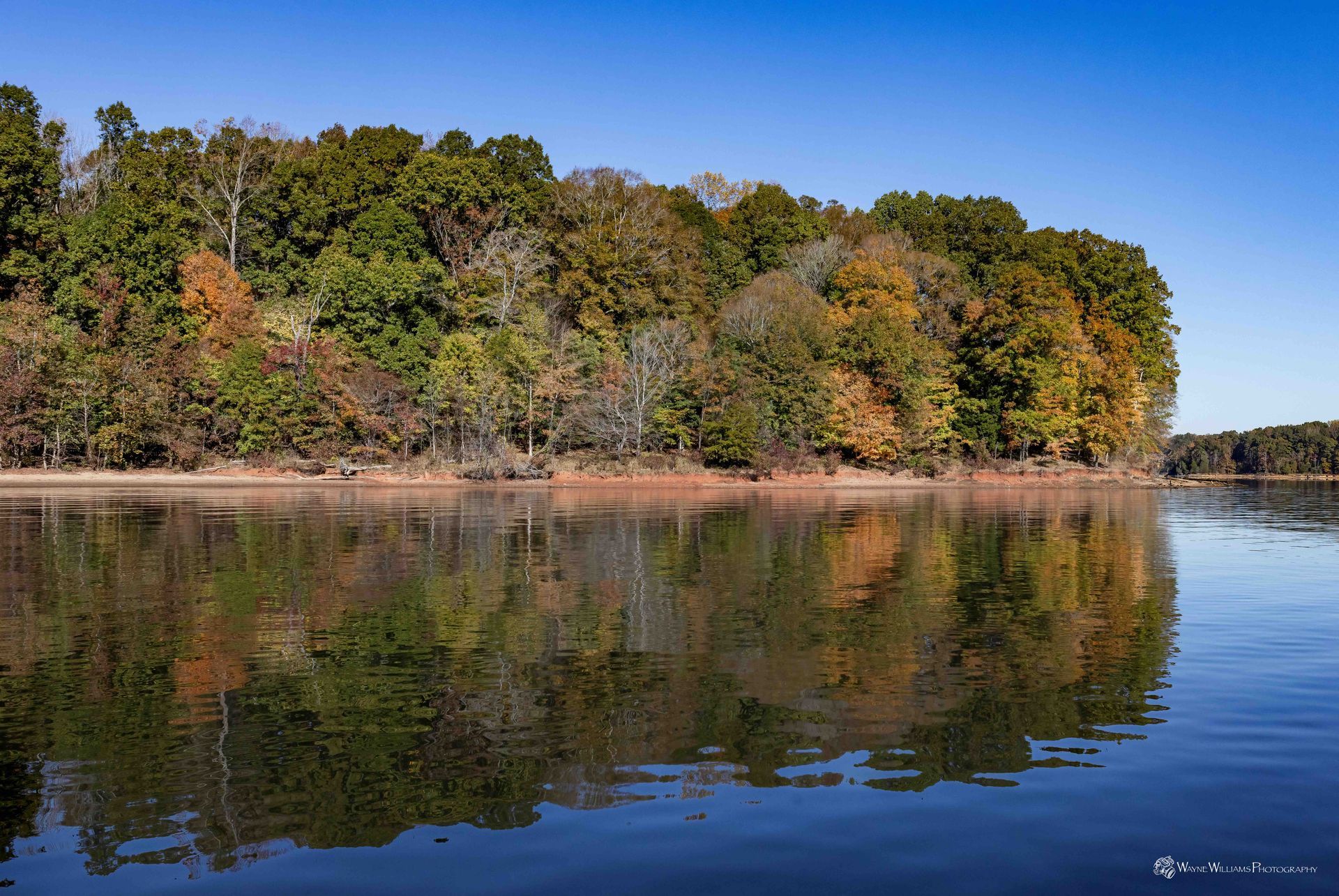 A lake with trees on the shore and trees reflected in the water