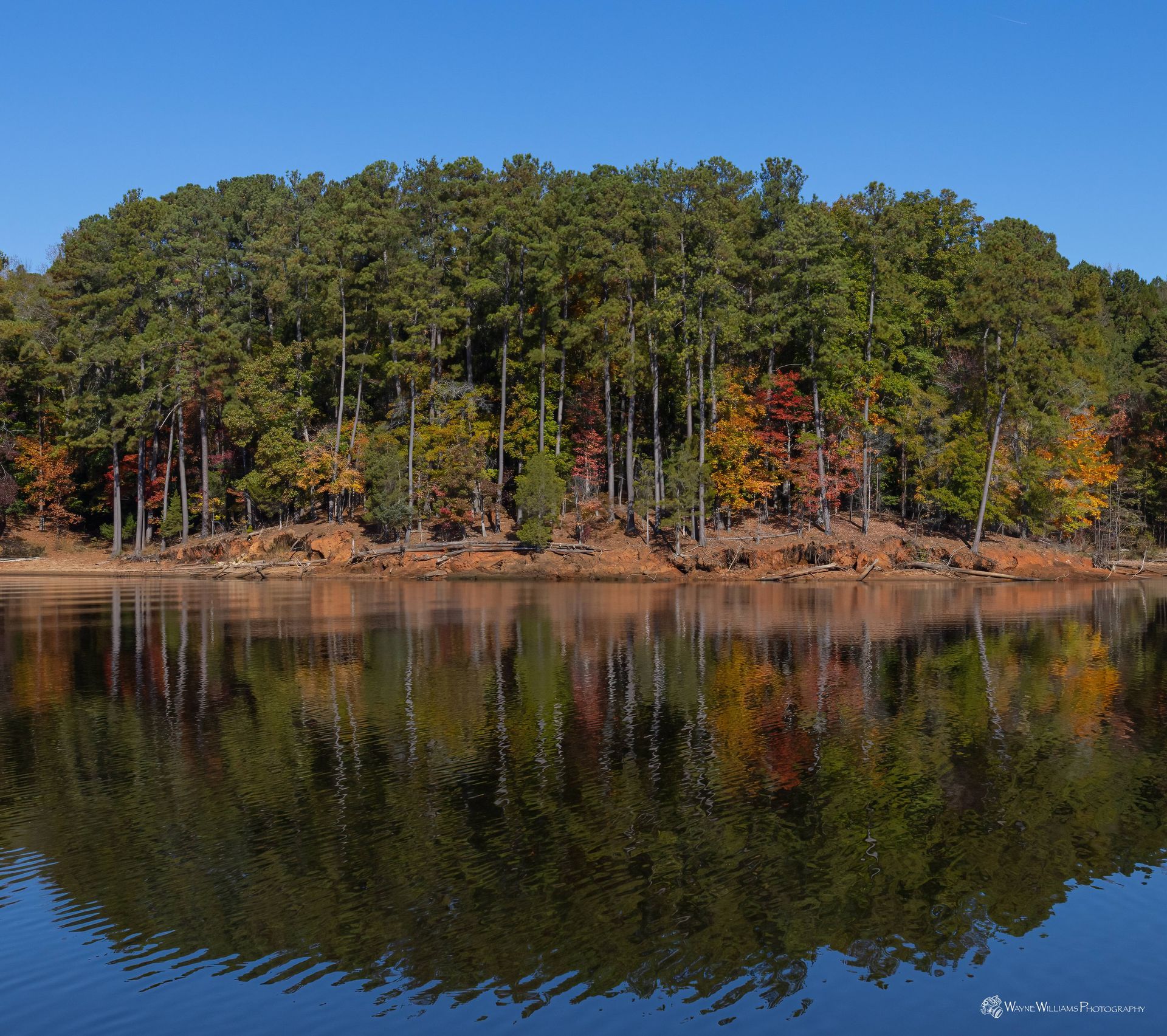 A lake surrounded by trees with a blue sky in the background