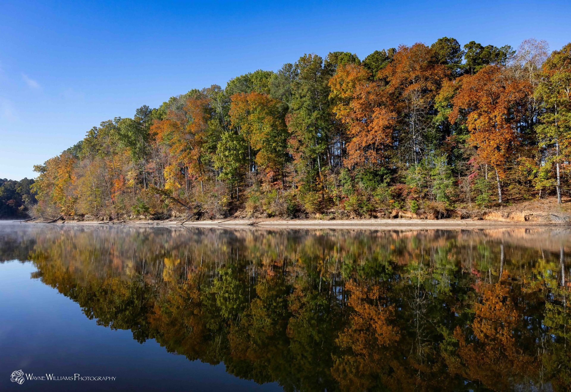 A lake surrounded by trees on a sunny day