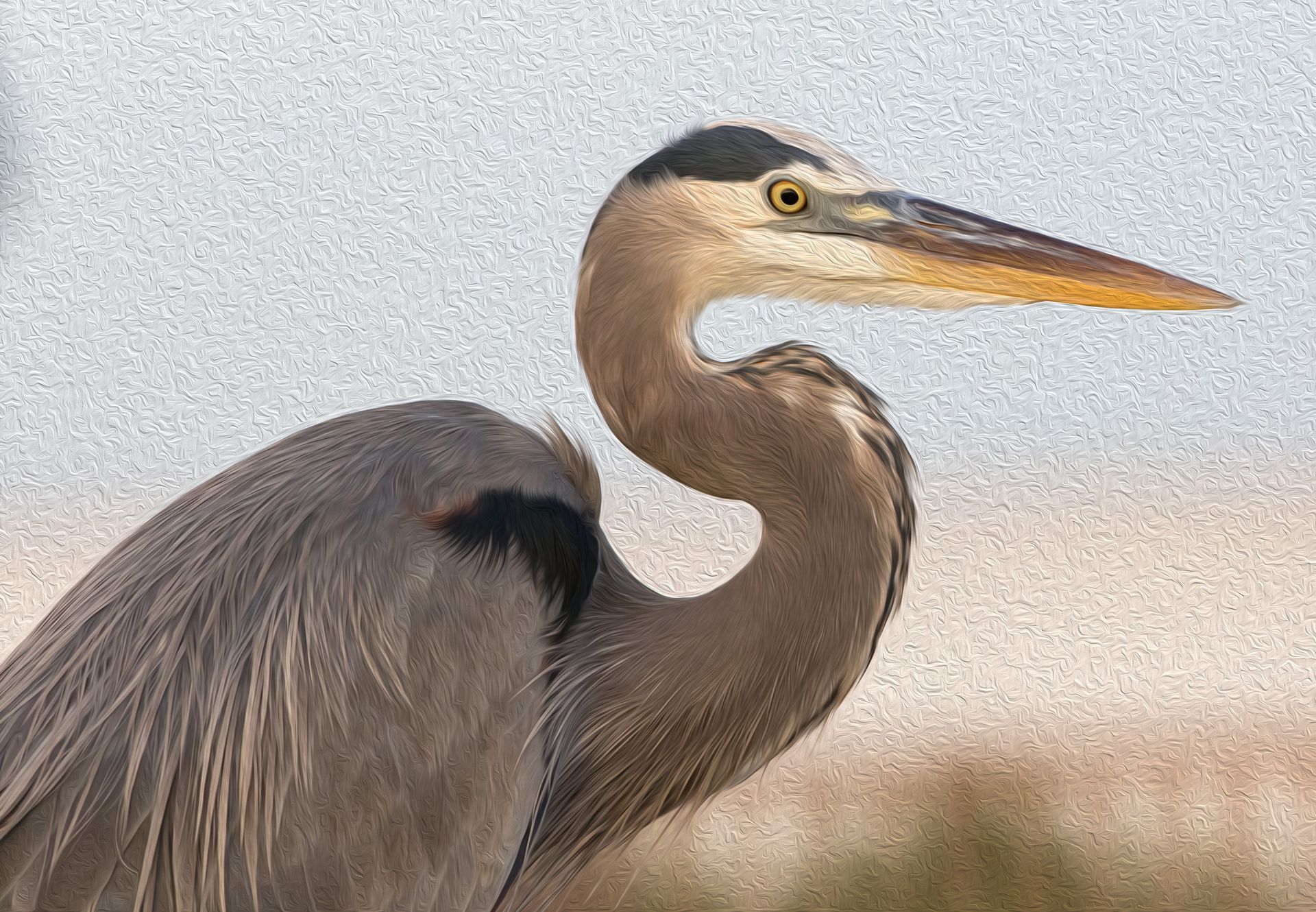 A close up of a great blue heron with a long neck.
