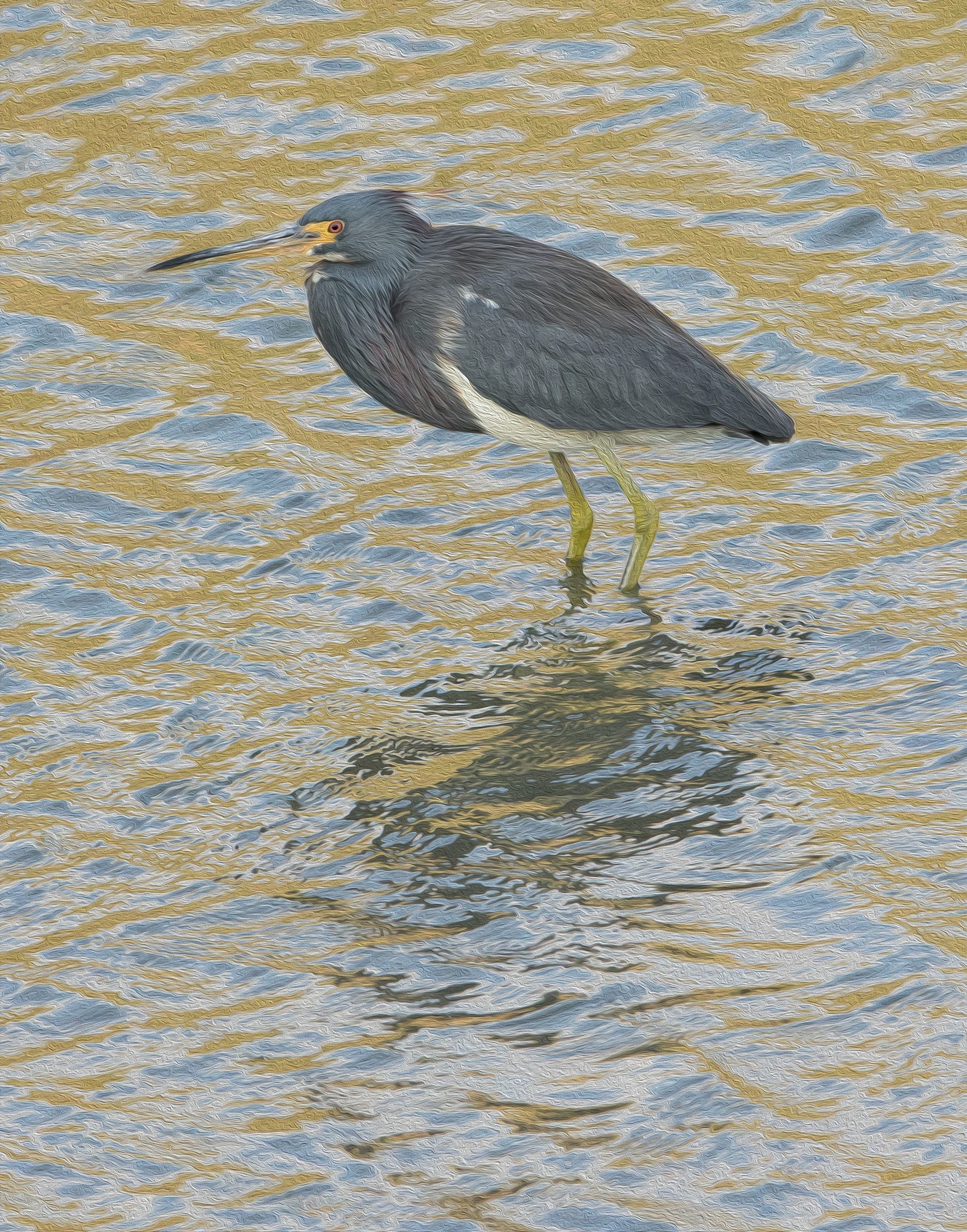 A bird with a long beak is standing in the water.