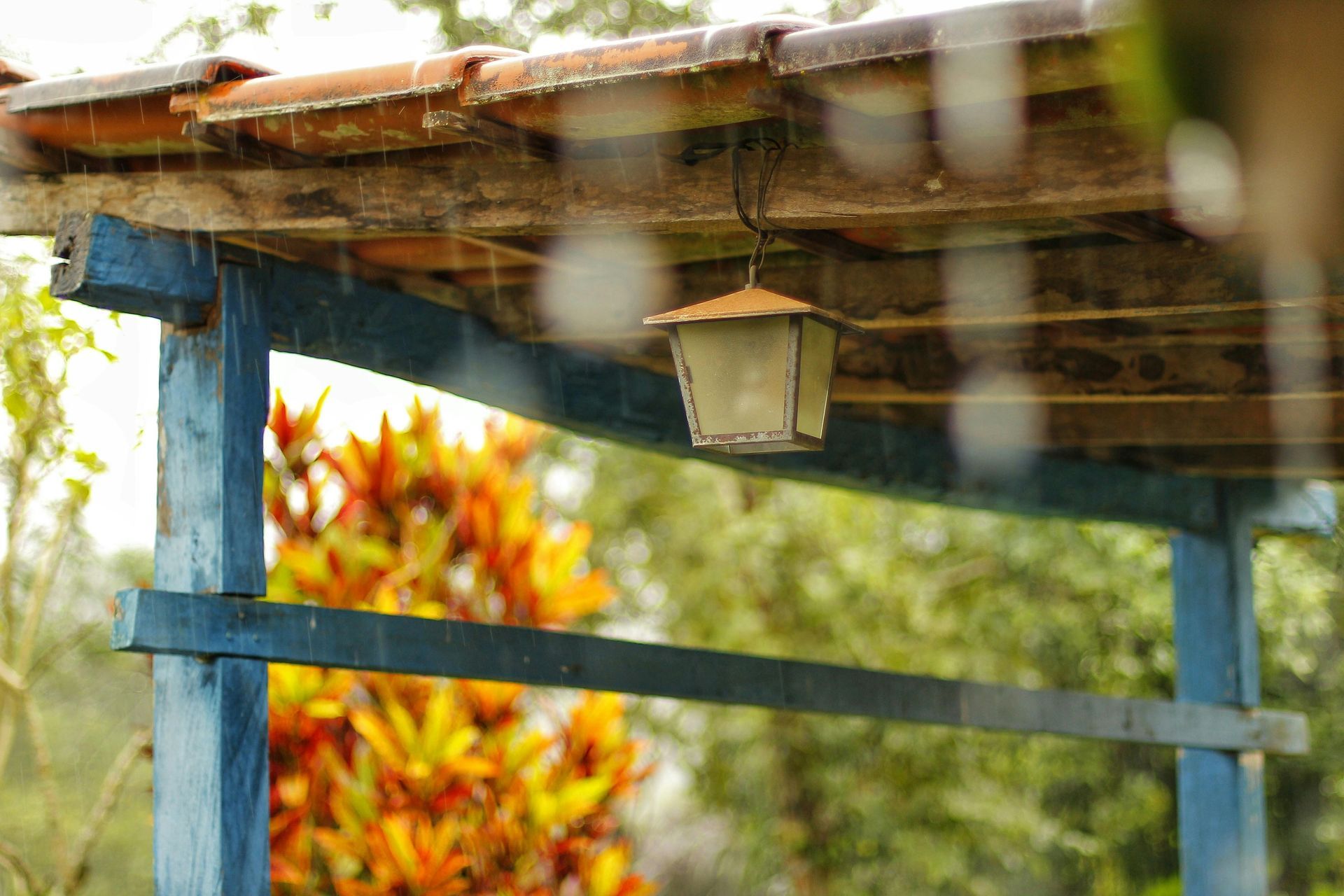 Blue wooden pergola with orange tile roof, hanging lantern, rain falling, colorful foliage in the background.