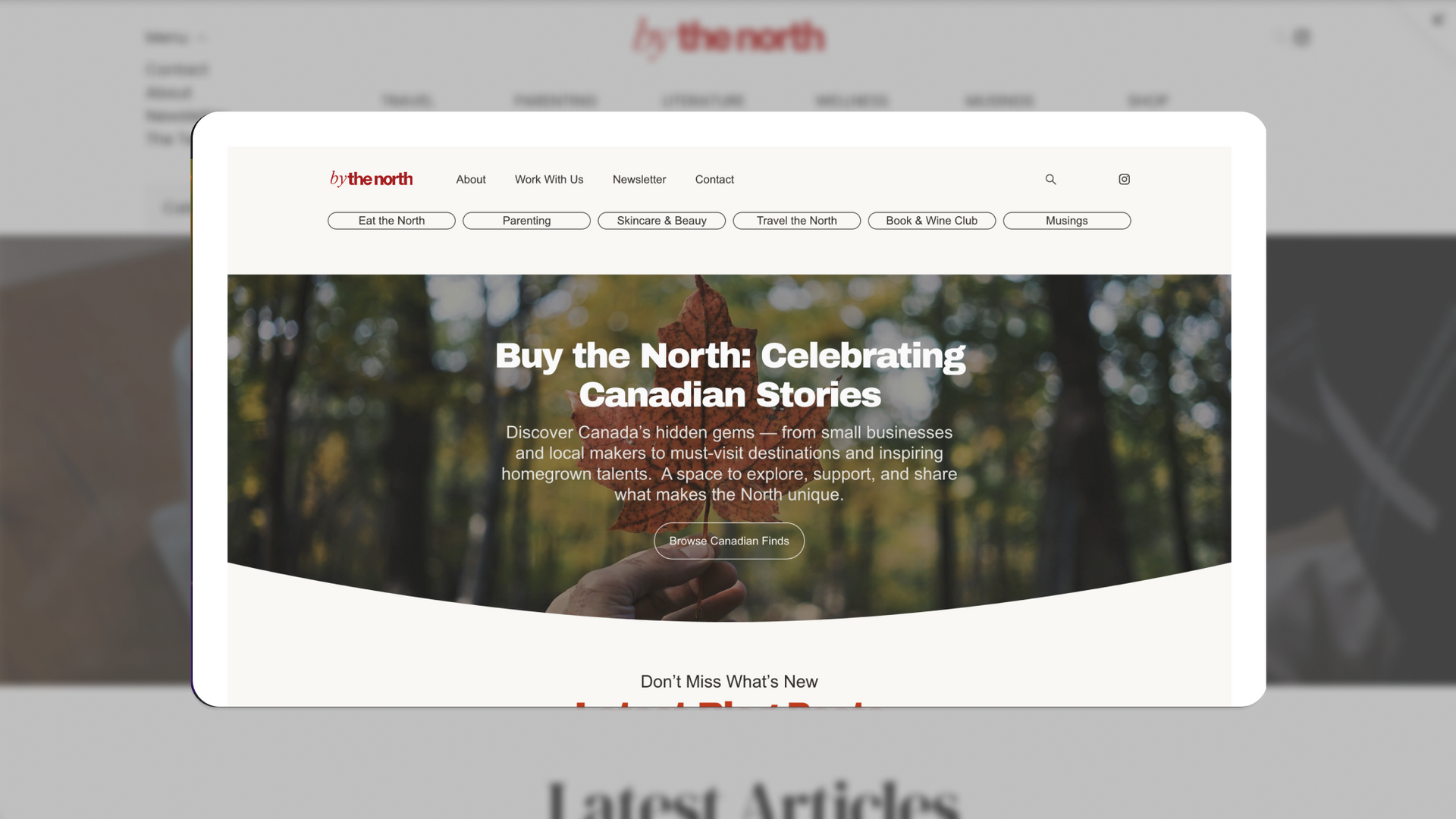 by the north website hero section