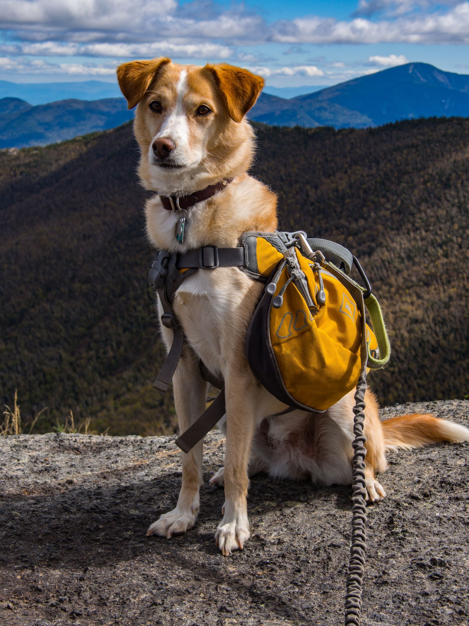 Adirondack Mountains, Northern, Upstate,  New York