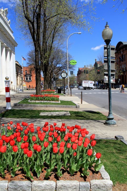 Downtown Saratoga Springs, Saratoga County, NY