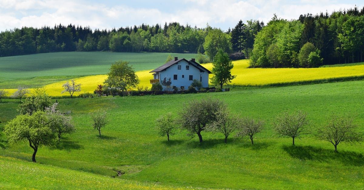 Farmhouse with land picture taken near Salem, NY