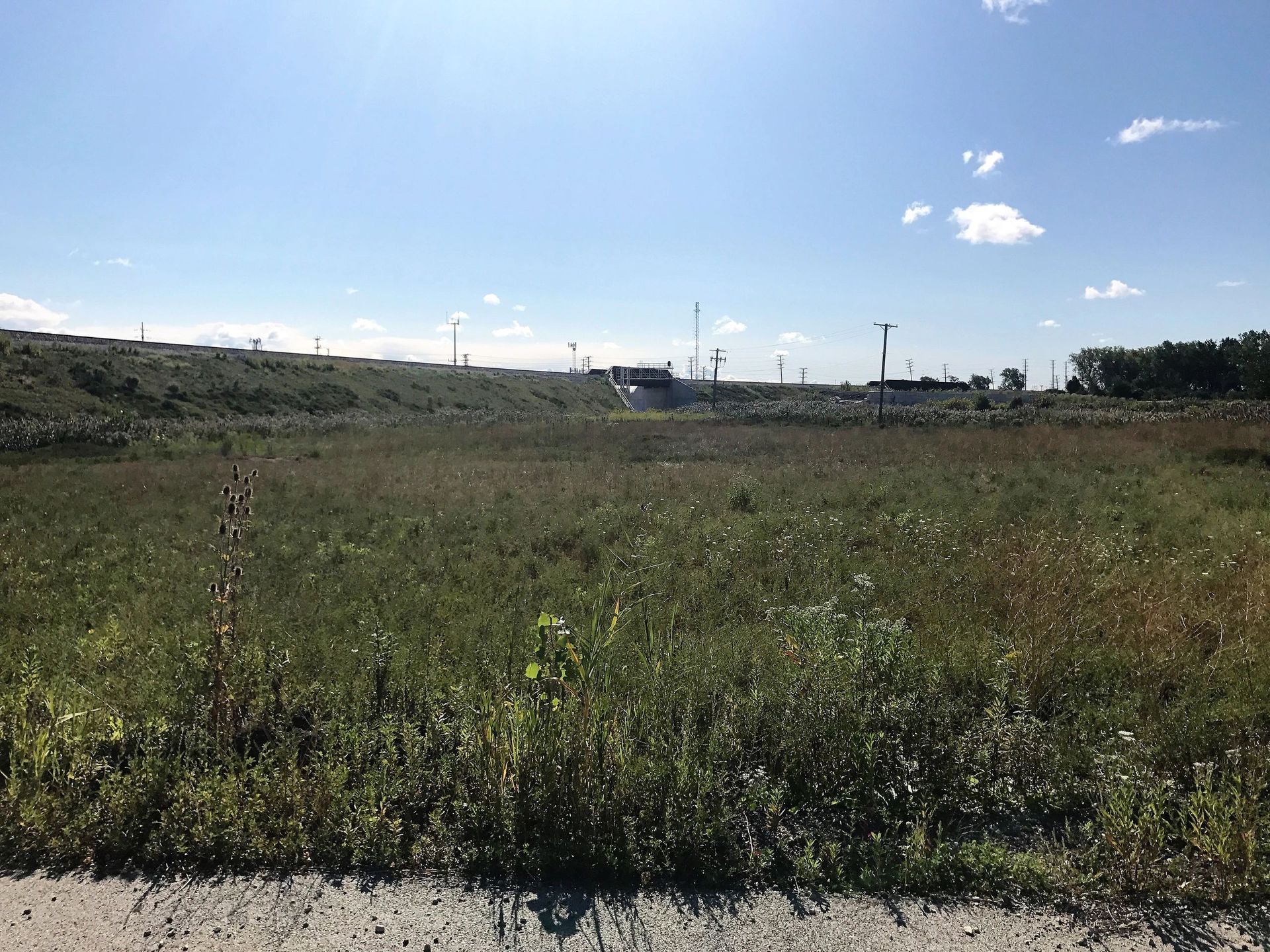 A large grassy field with a blue sky in the background.