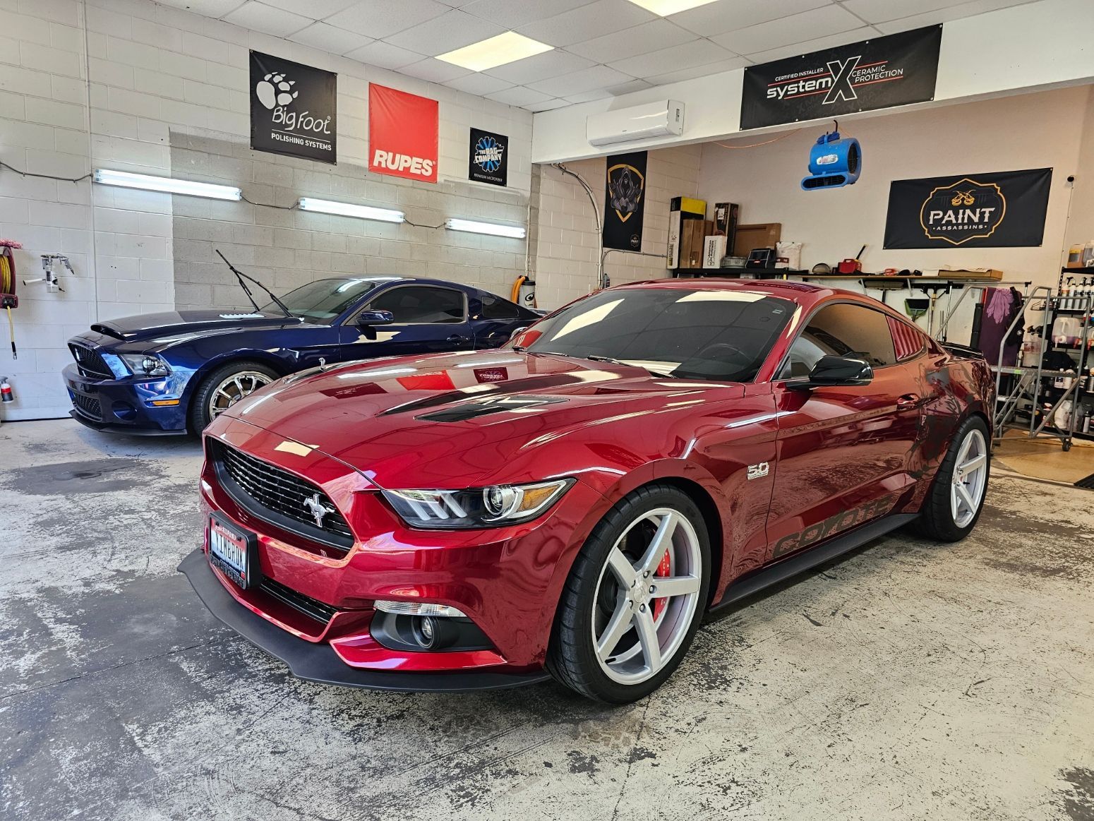 Mobile Detailing