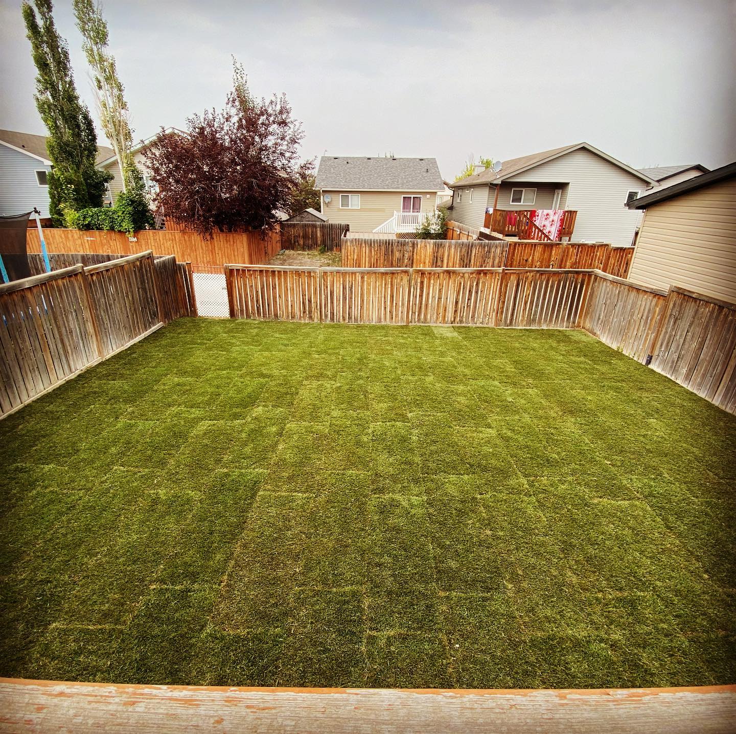 sod install