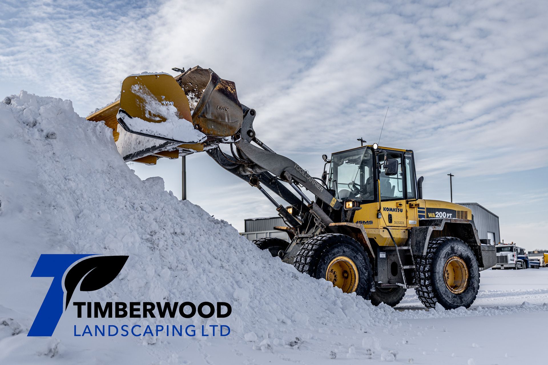 Pile of snow cleared