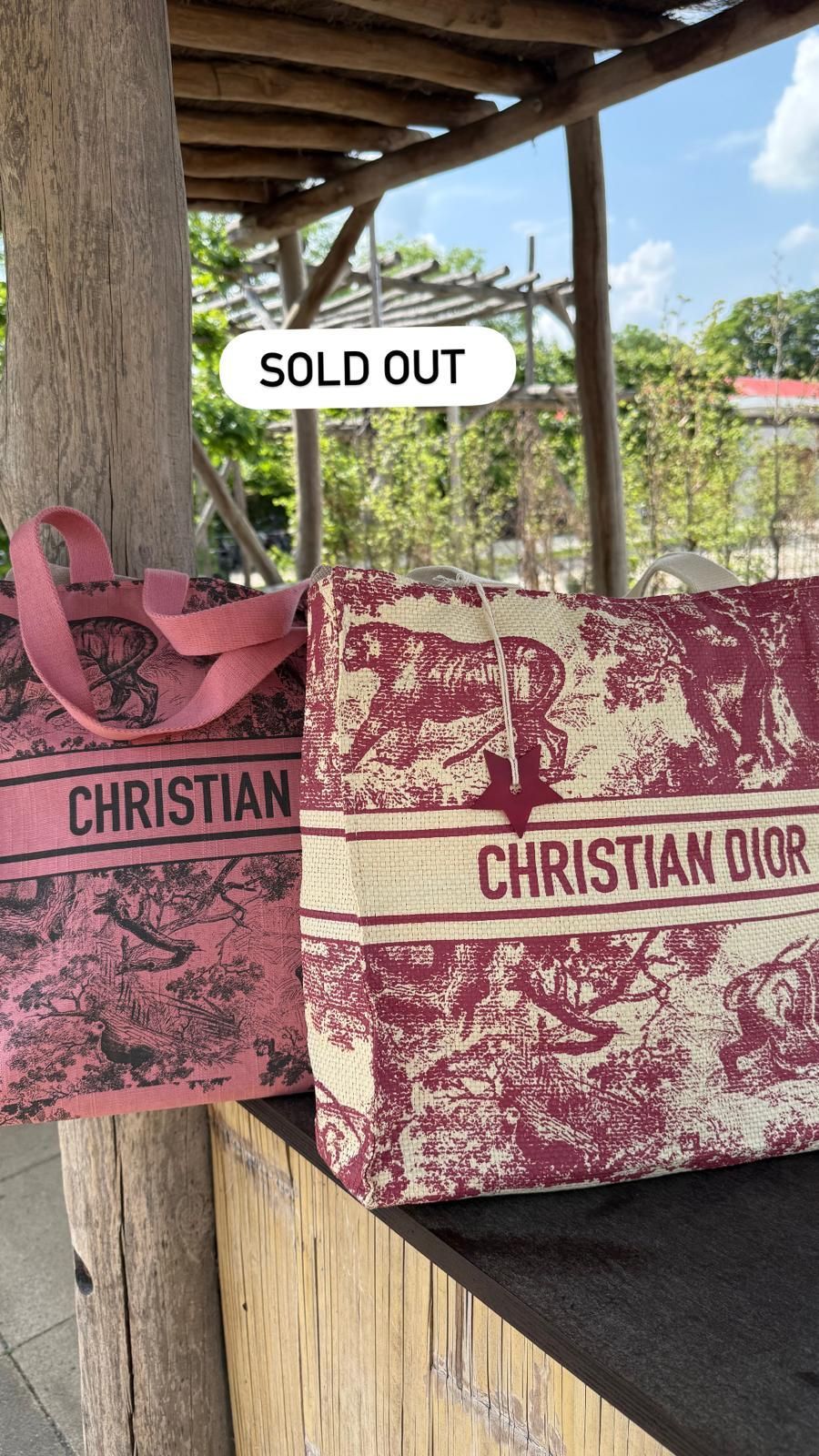 DIOR STRANDTAS