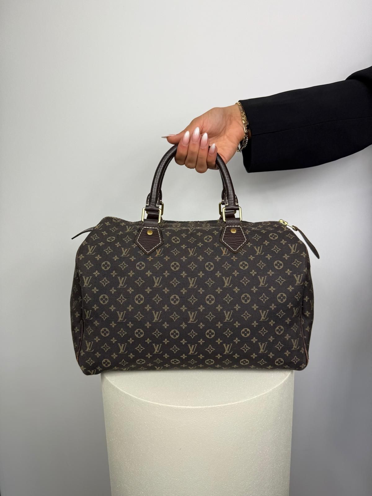 Louis Vuitton Mini Lin Speedy 30