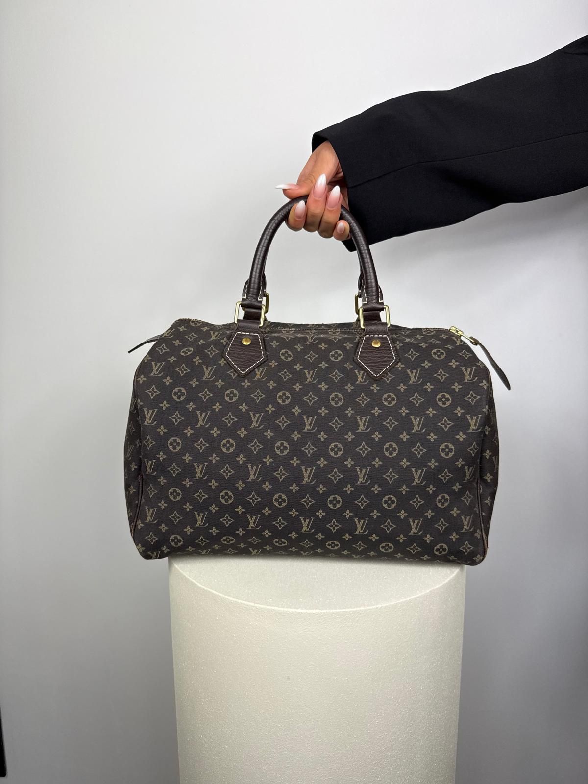 Louis Vuitton Mini Lin Speedy 30