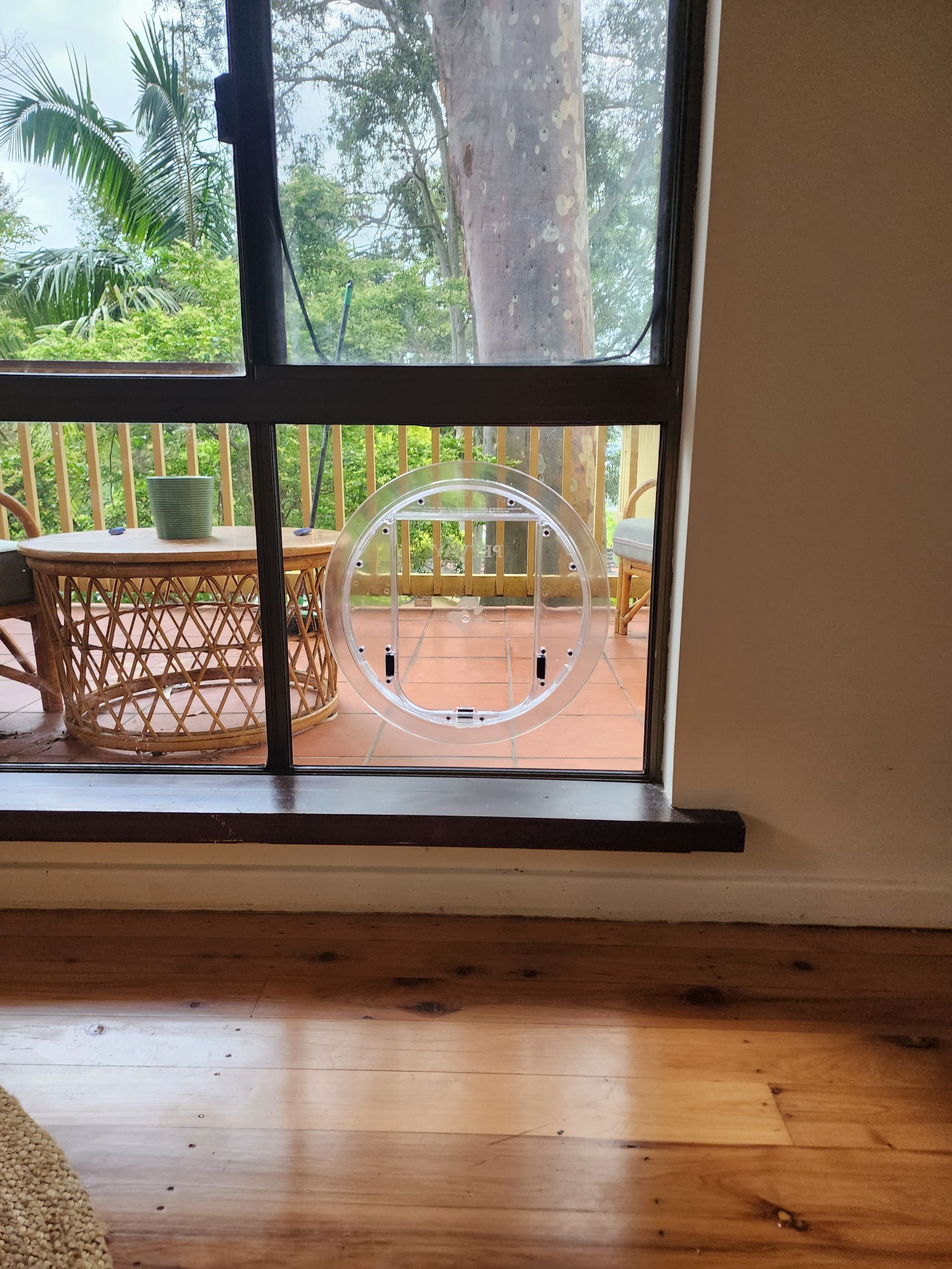 A Dog Is Sitting On A Mat In Front Of An Open Door — Lumba Glass & Glazing In Kincumber, NSW 