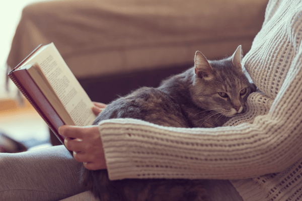 Picure of a cat sitting on woman's lap while reading a book.