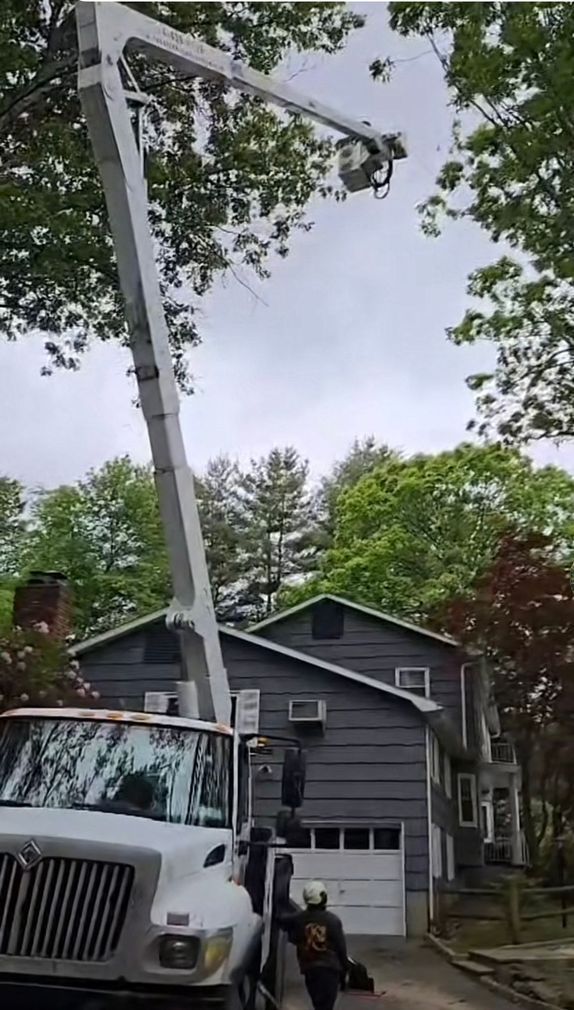 Leos Tree and Lawn Service, Inc Tree Services