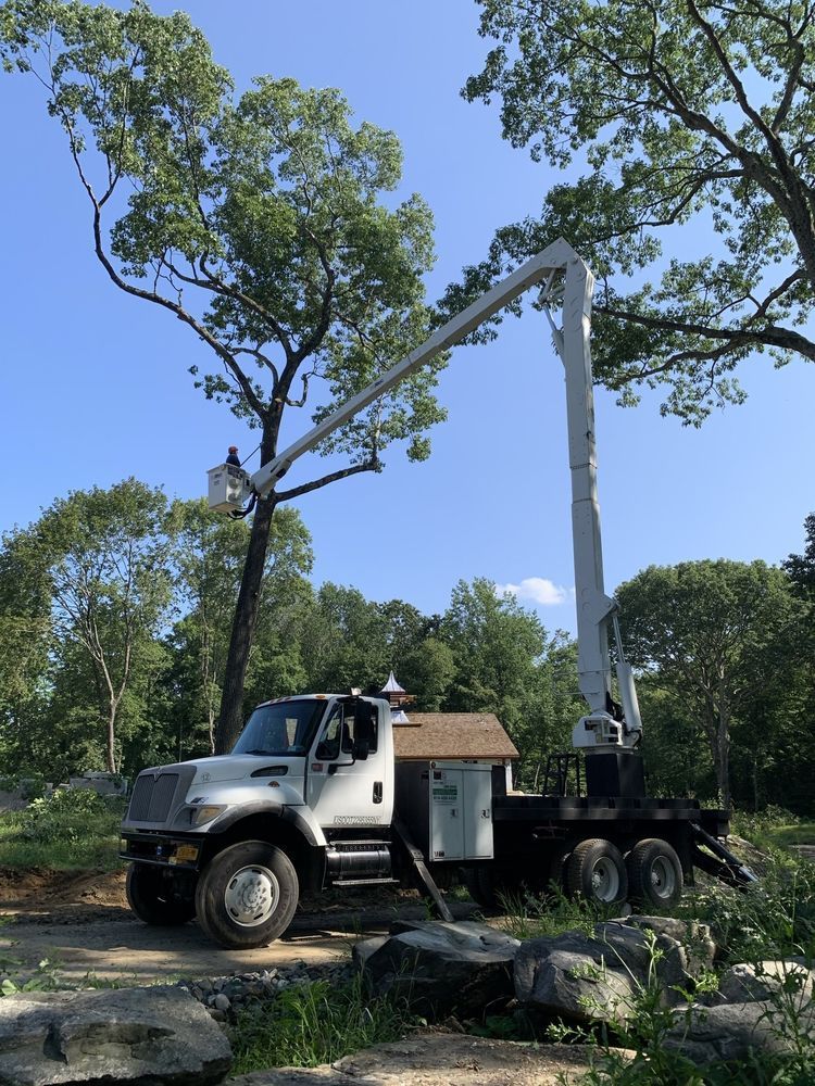 Leos Tree and Lawn Service Inc Photo