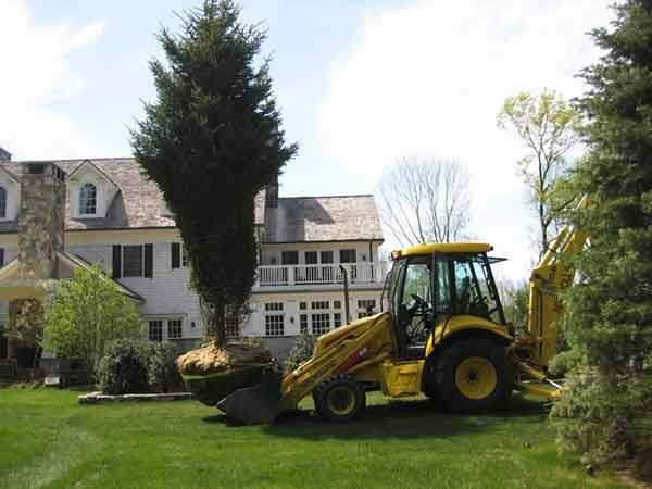 Leos Tree and Lawn Service Inc Photo