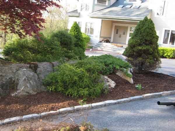 Leos Tree and Lawn Service Inc Photo