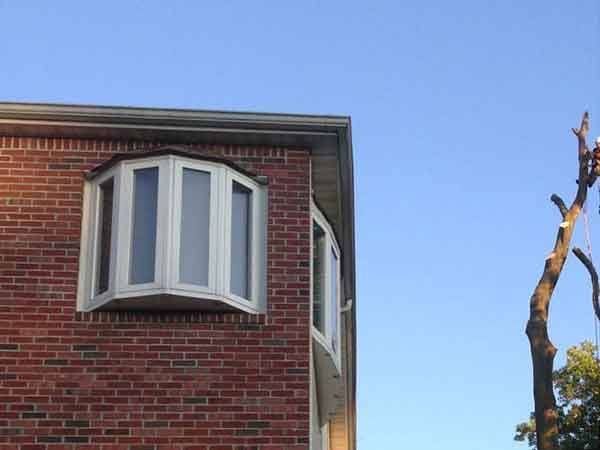 Leos Tree and Lawn Service Inc Photo