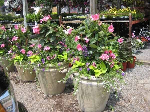 Leos Tree and Lawn Service Inc Photo