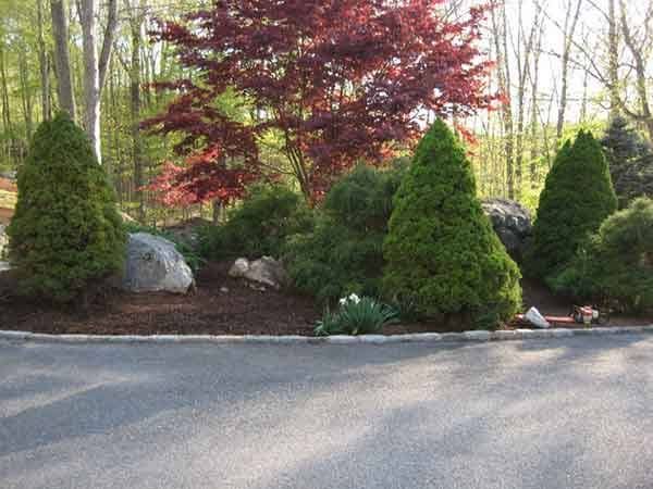 Leos Tree and Lawn Service Inc Photo