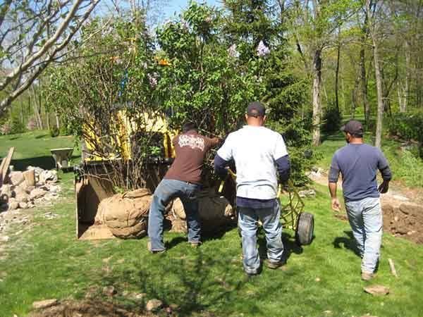 Leos Tree and Lawn Service Inc Photo