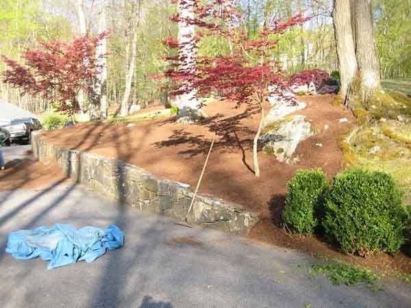 Leos Tree and Lawn Service Inc Photo