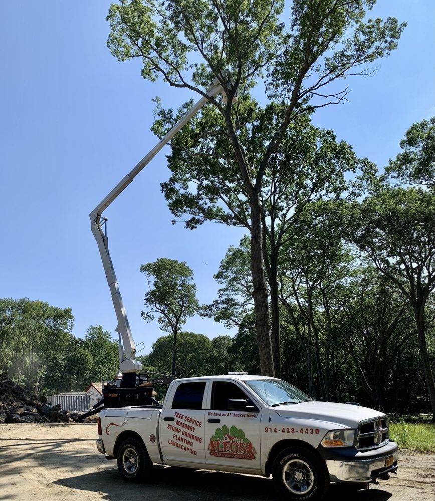 Leos Tree and Lawn Service Inc Photo