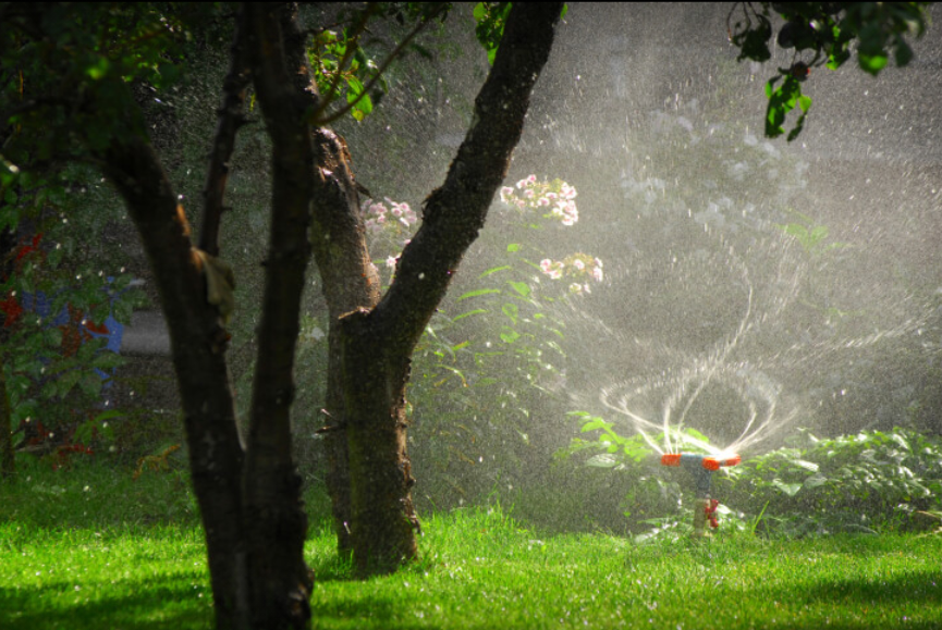 Leos Tree and Lawn Service Inc Photo