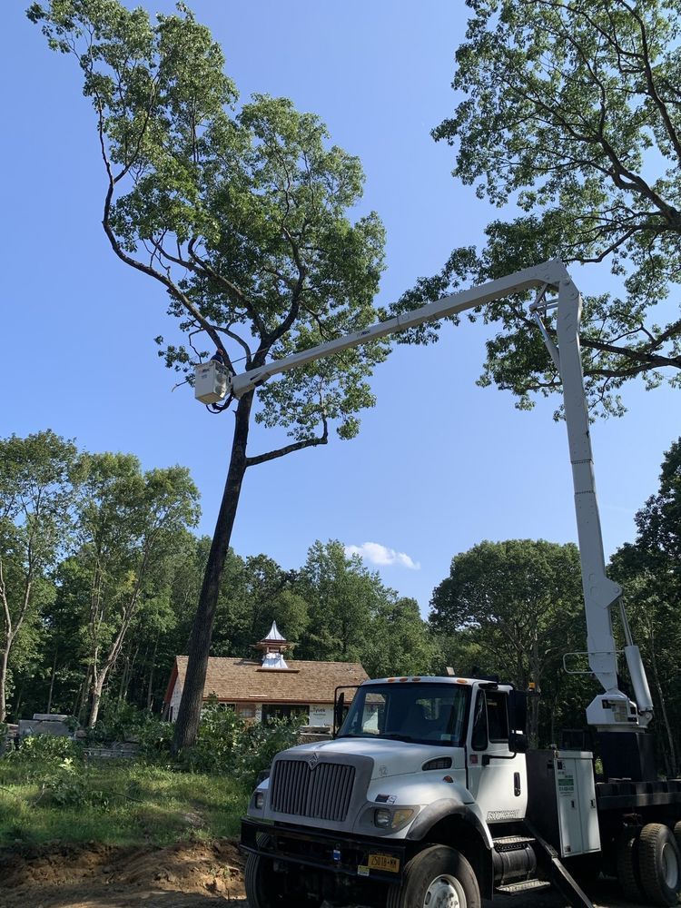 Leos Tree and Lawn Service Inc Photo