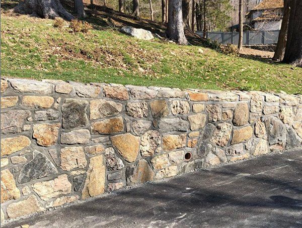 Leos Tree and Lawn Service Inc Tree Gallery Photo