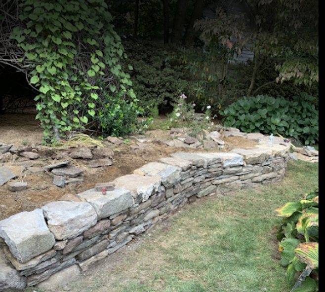 Leos Tree and Lawn Service Inc Tree Gallery Photo