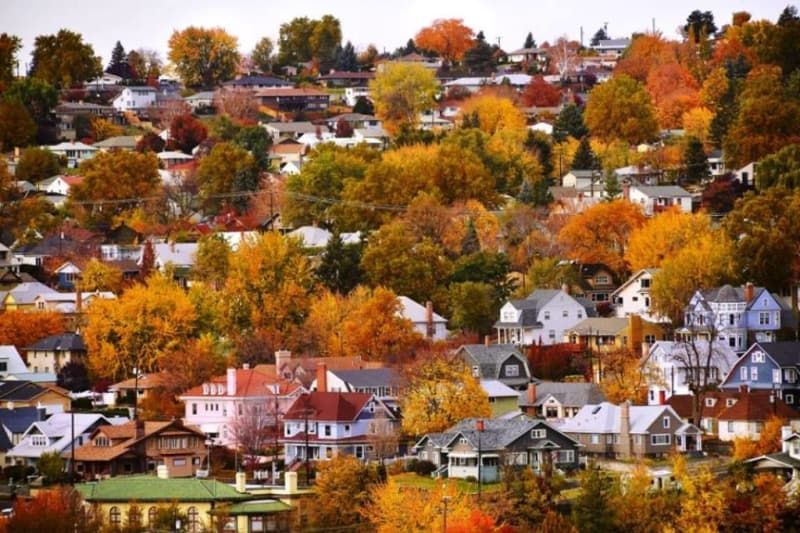 A residential area with lots of houses and trees in autumn