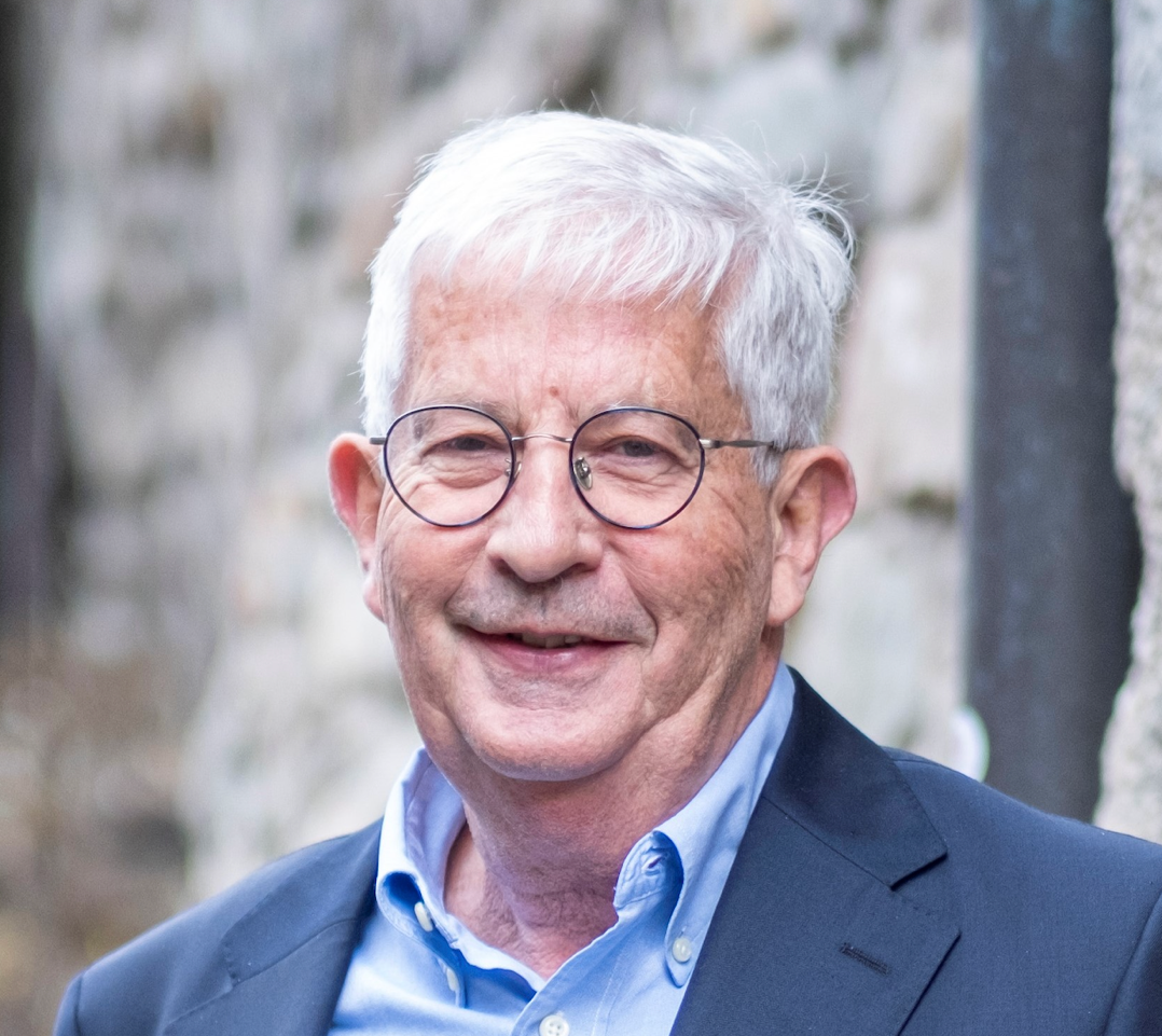 Junge Person mit geflochtenen Haaren lächelt, im Freien, weicher Hintergrund.