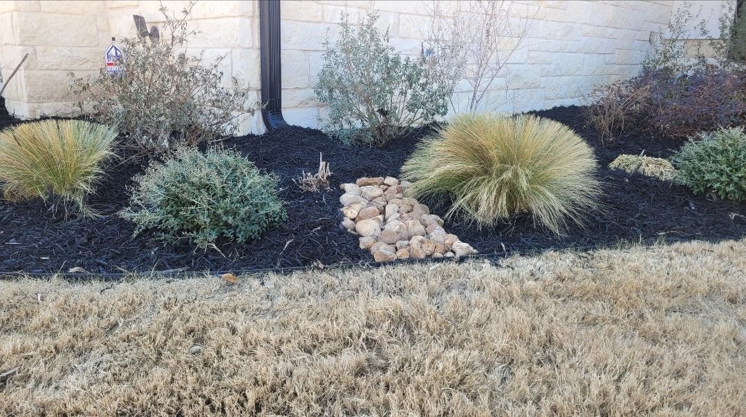 A lawn with a lot of plants and rocks in it.