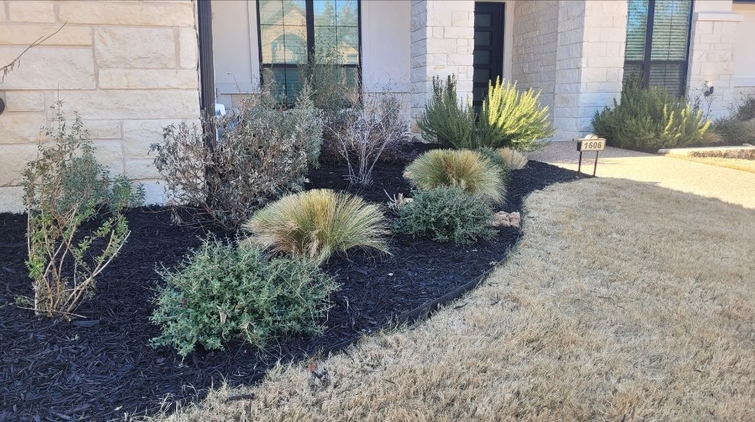 A house with a lot of plants in front of it.