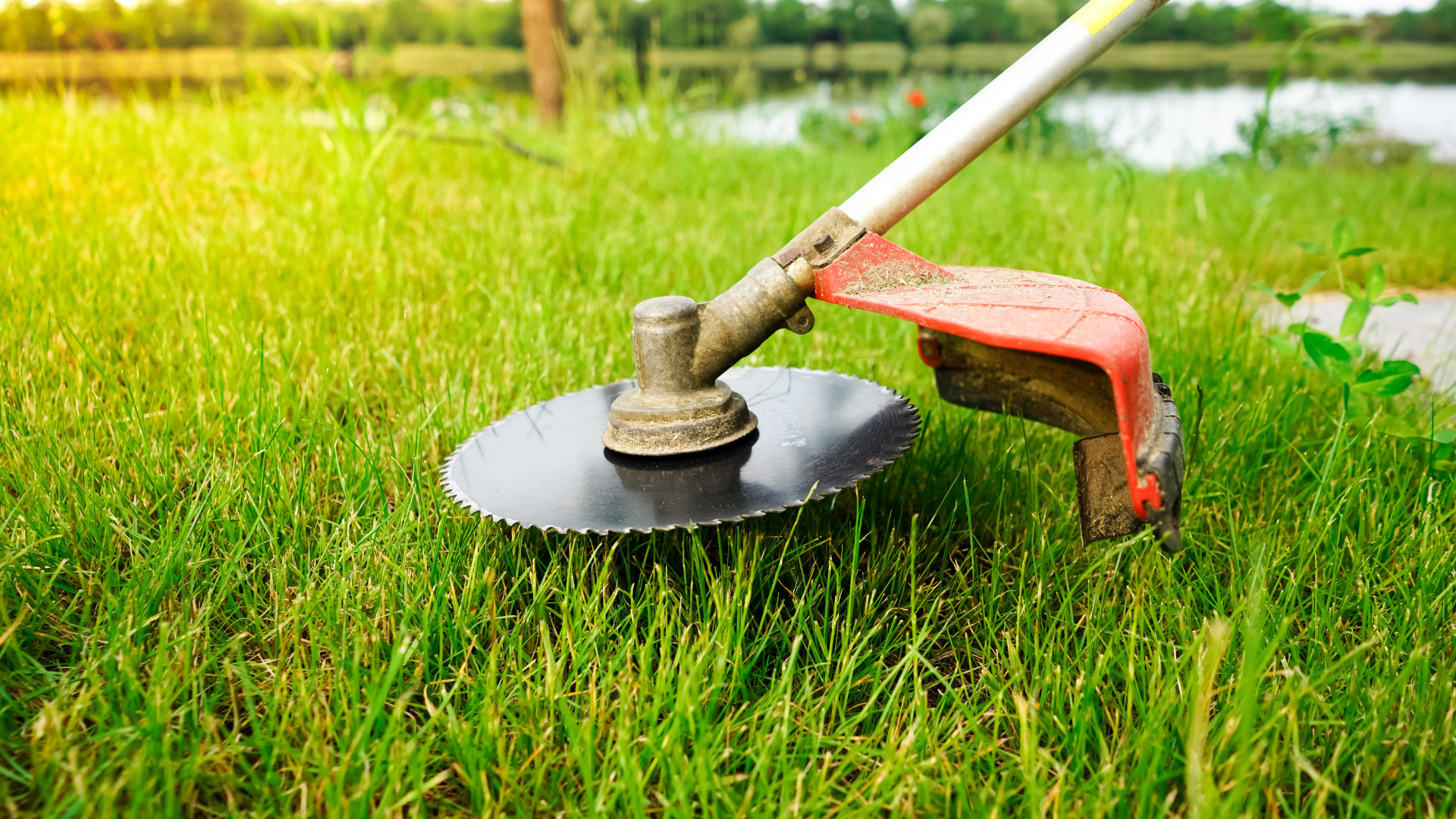 A lawn mower is sitting on top of a lush green lawn.