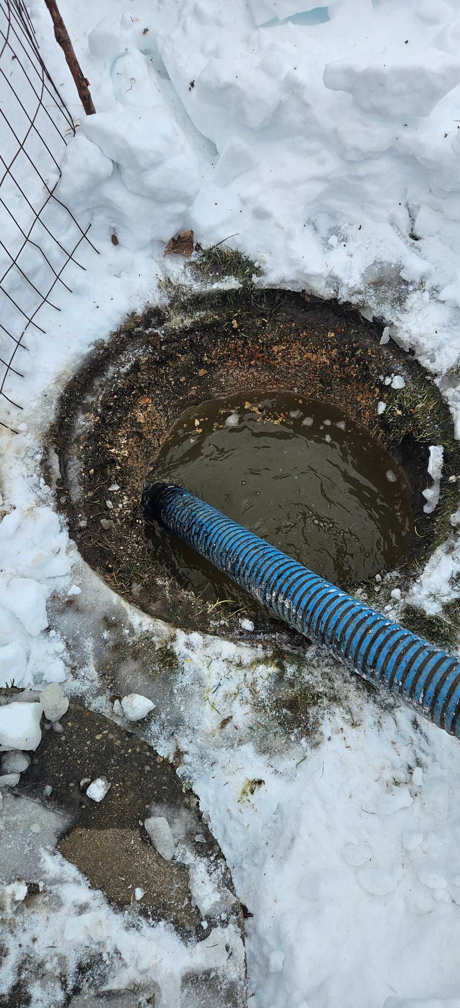 Hose in open septic tank, removing waste. Green metal rim, brown hose, outdoor setting. Hose in open septic tank, removing waste. Green metal rim, brown hose, outdoor setting.