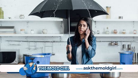 Charlotte Mold Testing & Inspection | The Mold Girl of Charlotte